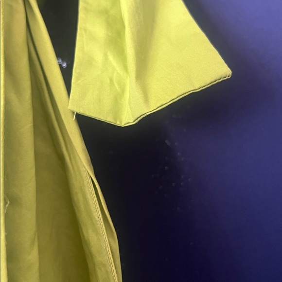 DISSH Strapless Green Dress - Picture 7 of 10